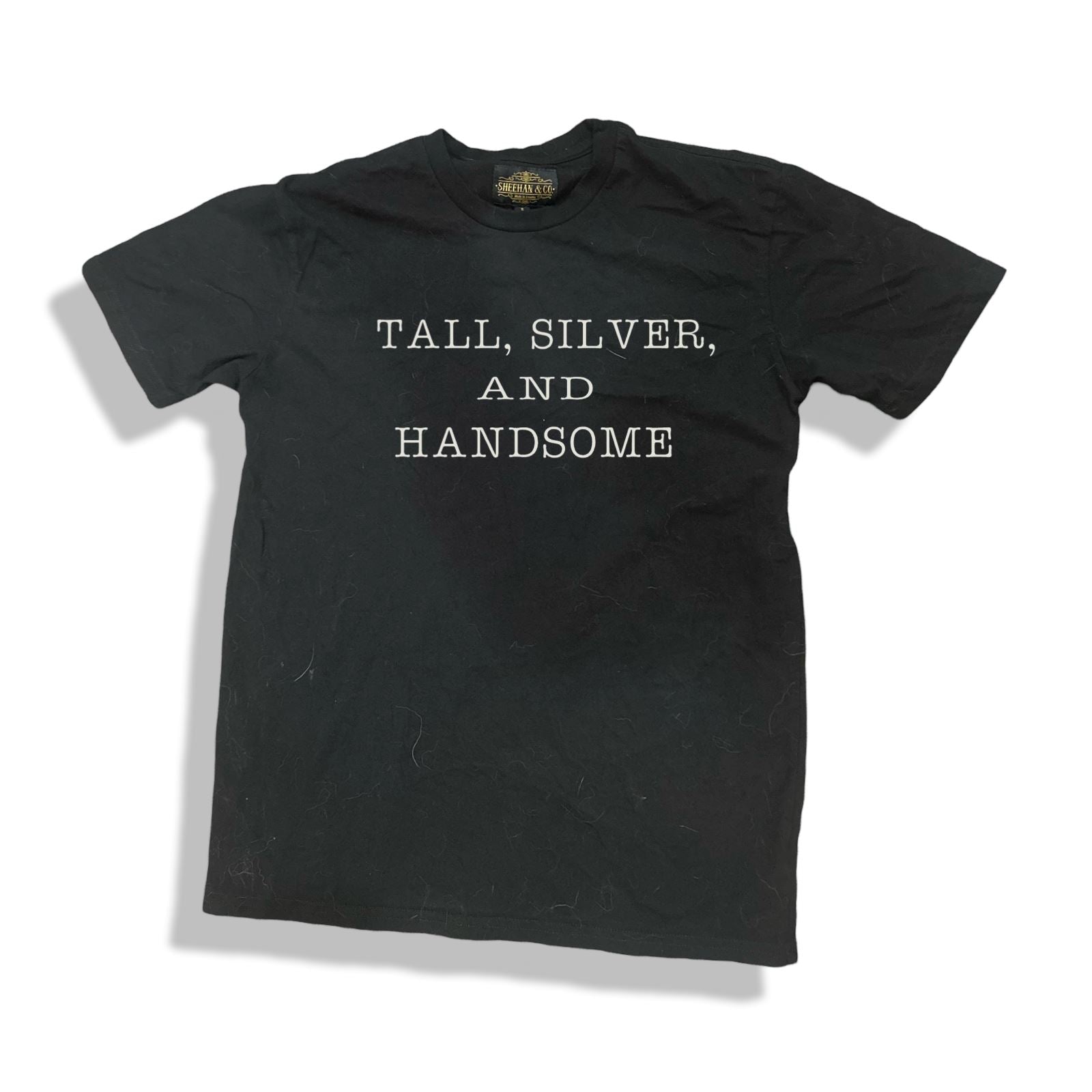 Tall, Silver, and Handsome Statement Crew Neck Tee